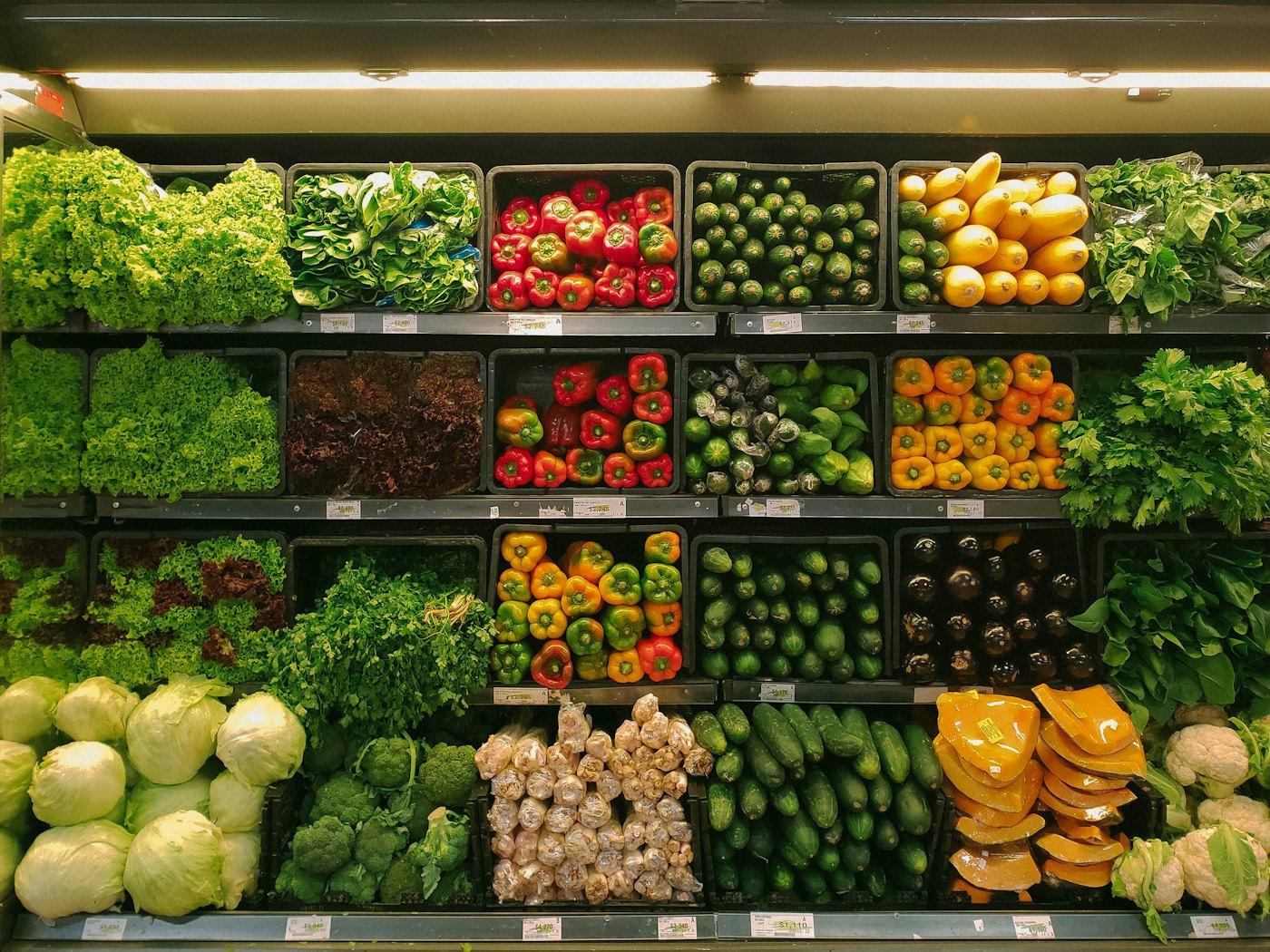 Legumes frescos variados dispostos lado a lado